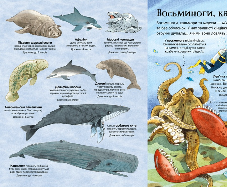 Велика книга морських мешканців 1201251 фото