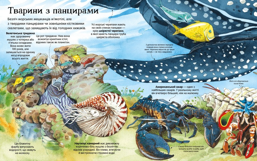 Велика книга морських мешканців 1201251 фото
